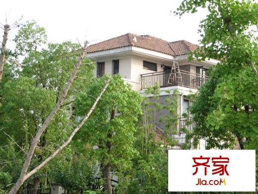 依云溪谷外景圖 