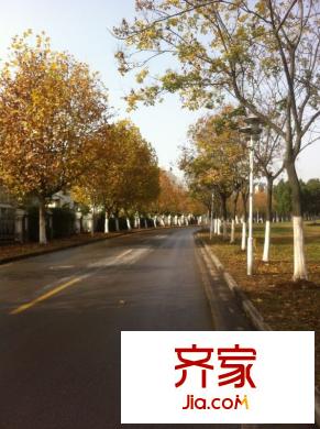 立信瑞景文華外景圖