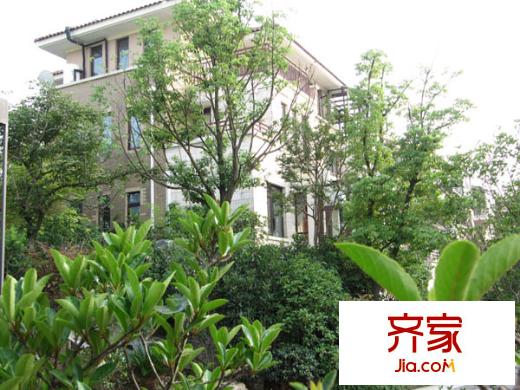 依云溪谷外景圖 