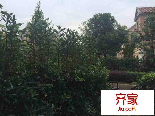 奧斯博恩別墅外景圖