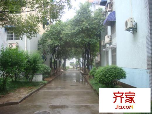 清江花苑外景圖