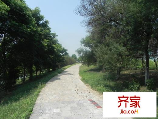 朗詩玲瓏嶼通往百家湖地鐵站的道小路（2013.08.15.）