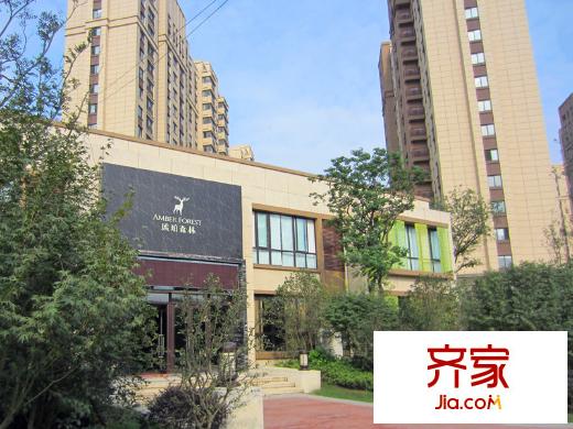 琥珀森林售樓處旁（2014-9-16）