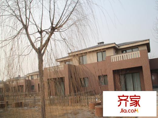 曹妃湖紅樹灣小區(qū)實景（2013-3-28）