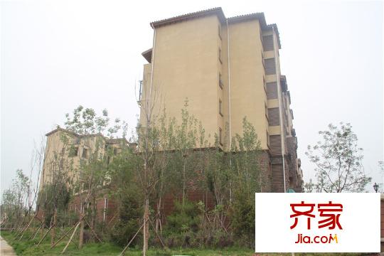 林蔭壹號院最新工程實景（2015-6-24）
