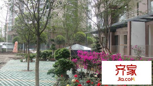 楓平方米398F區(qū) 