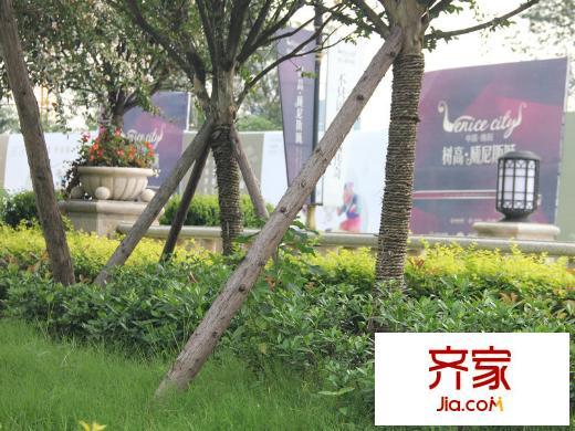 樹高威尼斯城小區(qū)