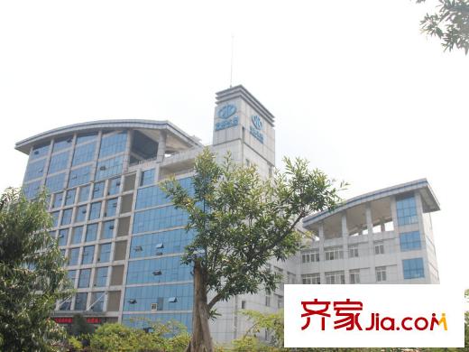 樹(shù)高威尼斯城水利局