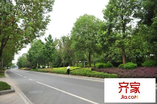 三江國際麗城C區(qū)瀾岸瀾岸外景2