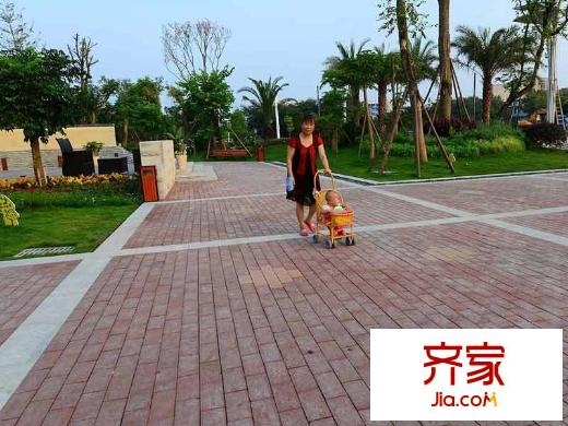 卓信金楠天街實(shí)景圖