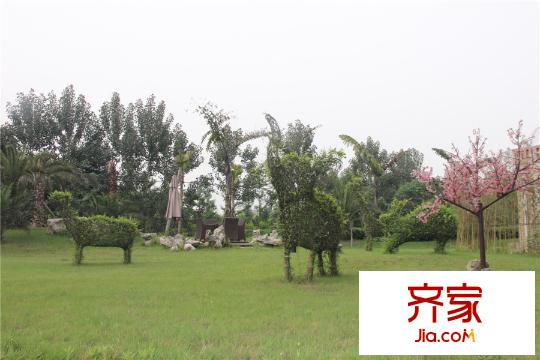 海珂花郡實(shí)景圖