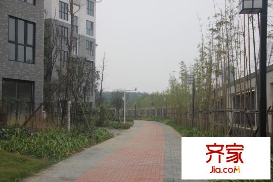 長虹南山一號實(shí)景圖