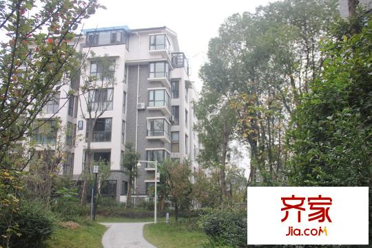 長虹南山一號實(shí)景圖