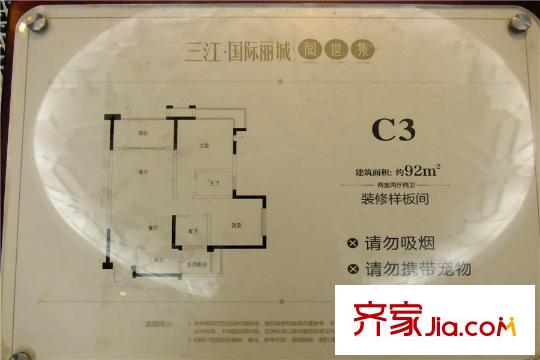 三江國際麗城閱世集C3 2室2廳2衛(wèi)1廚