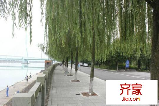 三江國際麗城閱世集