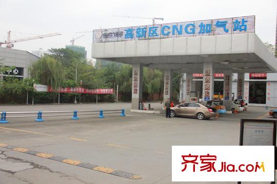 陽光?西雅圖IMG_8176_副本