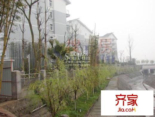 凱麗濱江實景圖