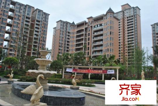樹(shù)高卡地亞中庭景觀2012-11-12 