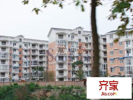 陽光水岸實景圖
