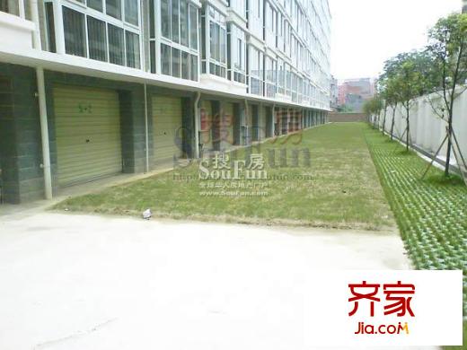 龍?jiān)沸聟^(qū)馥地書香實(shí)景圖