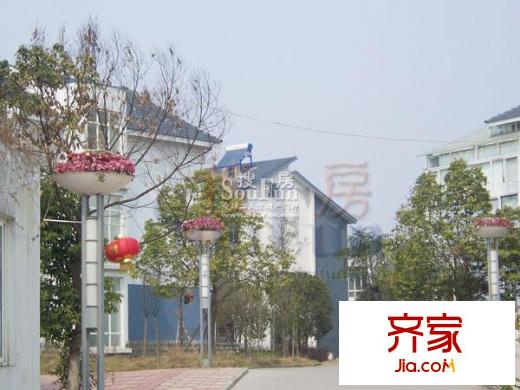 倍特林郡外景圖實景圖