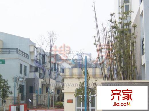 銀都領(lǐng)地實(shí)景圖