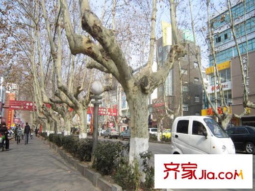達信國際配套圖道路