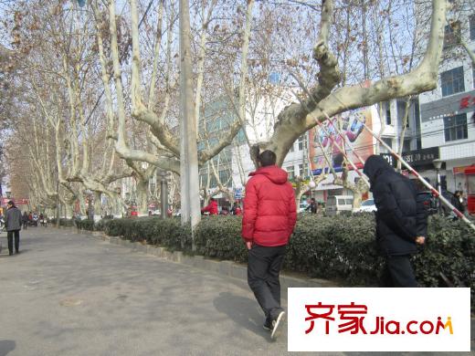 達信國際配套圖道路