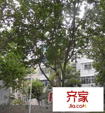 電大宿舍