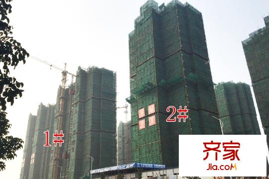 國泰?菁華逸景1#2#工地（2015-11-2）