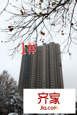 花半里