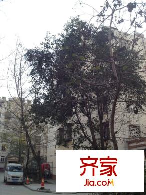 綠苑花園外景圖 