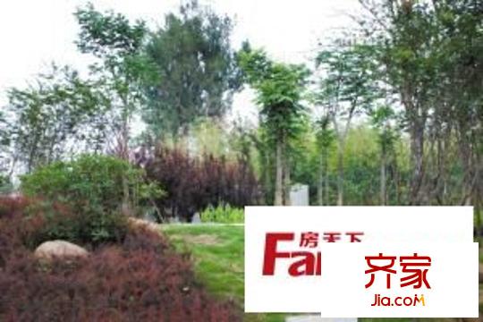 櫻花小鎮(zhèn)外景圖 