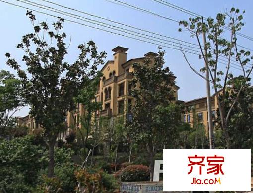 檀香山外景圖4
