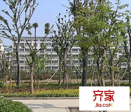 濱河花園外景圖5