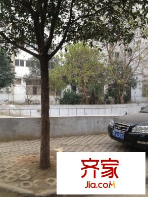 梅苑小區(qū)外景圖 