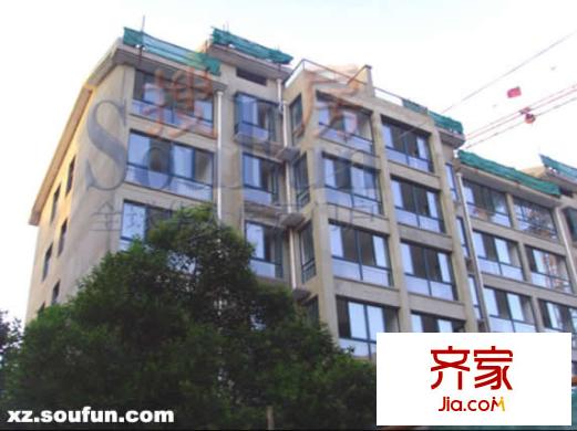 南山庭院外景圖實景圖
