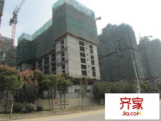 蘋果新天地外景圖3
