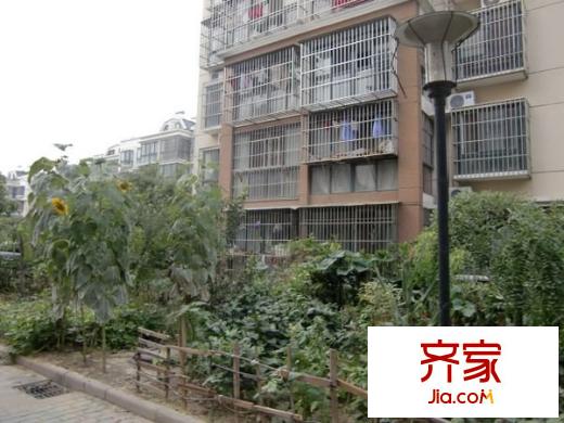 徐州人家外景圖 