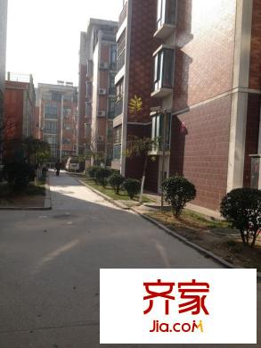 楓林綠洲外景圖 