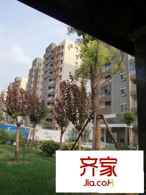 國信龍湖世家外景圖 