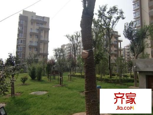 國信龍湖世家外景圖 