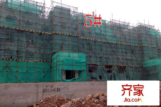 云龍湖?悅山5#工地（2015-11-10）