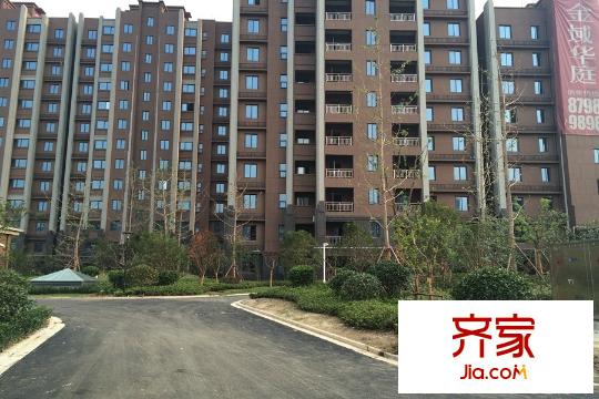 金域華庭小區(qū)綠化（2015-08-25）