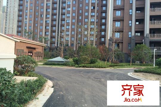 金域華庭小區(qū)綠化（2015-08-25）