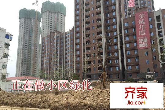 金域華庭工地綠化帶（2015-7-22）