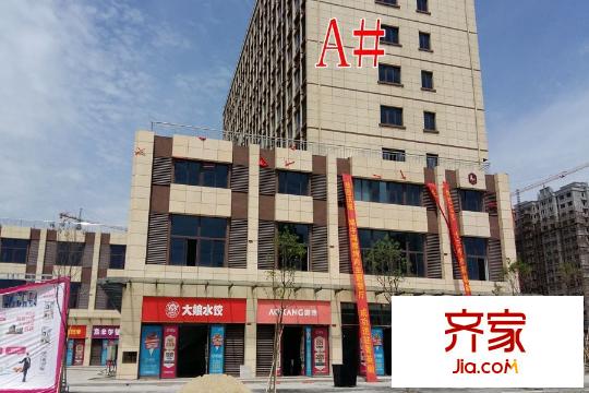 菁英閣準(zhǔn)現(xiàn)房工地（2015-06-04）