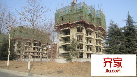 盛世名門工程（2012-1-31）