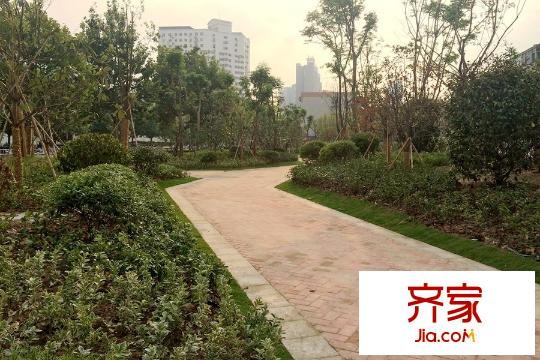 福匯雅園小區(qū)綠化（2015-08-25）