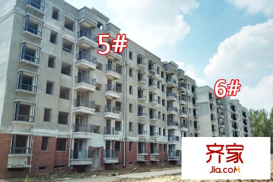 御林華府5#、6#工地(2015-9-14)